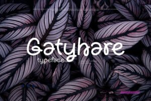Gatyhare – Display casual love